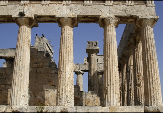 Temple d'Aphaïa #03 (2183 visites) Temple d'Aphaïa #03