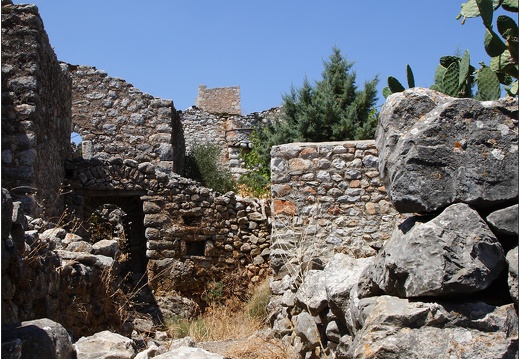 Lagia #05 (410 visites) Lagia #05
