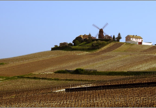 Marne #01 (2321 visites) Marne #01