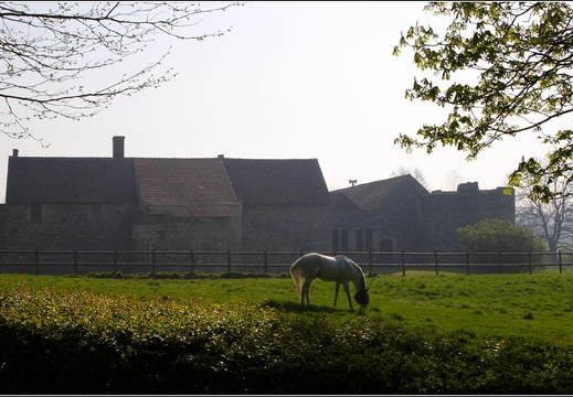 Nesles Château (Marne) #01 (1533 visites) Nesles Château (Marne) #01