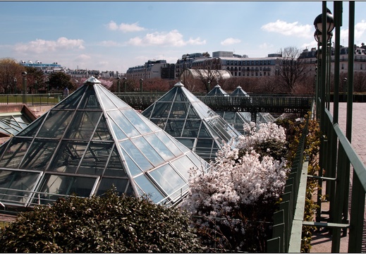 Paris 04-2005 #02 (1655 visites) Paris 04-2005 #02