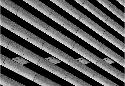 Lignes (1626 visites) Lignes