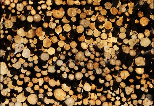 Mur de bois (1665 visites) Mur de bois