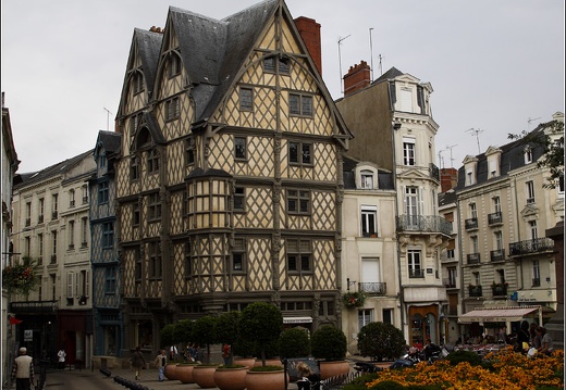 Maison d'Adam #01 (1612 visites) Maison d'Adam #01