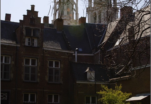 Anvers, jardin botanique #10 (2125 visites) Anvers, jardin botanique #10