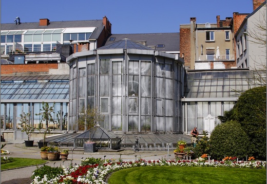 Anvers, jardin botanique #12 (1664 visites) Anvers, jardin botanique #12