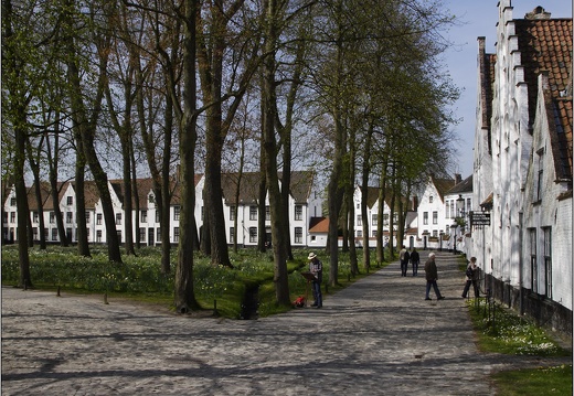 Bruges, Begijnhof #08 (1404 visites) Bruges, Begijnhof #08